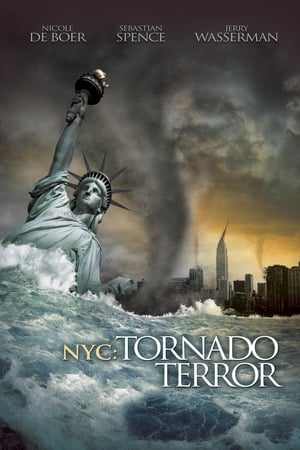 NYC Tornado Terror 2008 Hindi Dual Audio BluRay [1.1GB]