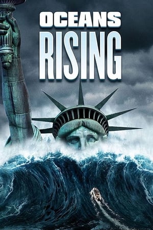 Oceans Rising (2017) Hindi Dual Audio BluRay 300MB