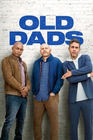 Old Dads (2023) Hindi Dual Audio HDRip – 480p