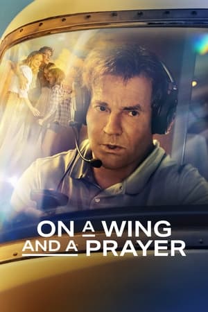 On a Wing and a Prayer 2023 Hindi Dual Audio HDRip – 480p