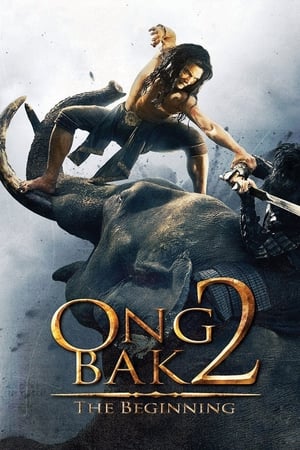 Ong Bak 2 (2008) Hindi Dual Audio BluRay [800MB]