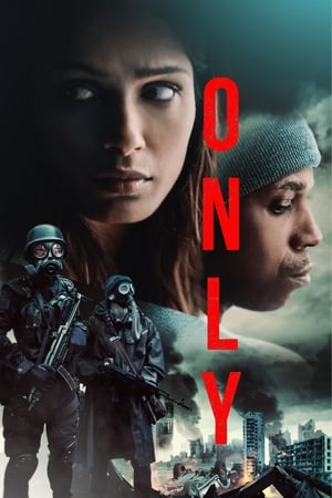 Only 2019 Hindi Dual Audio Web-DL 300MB