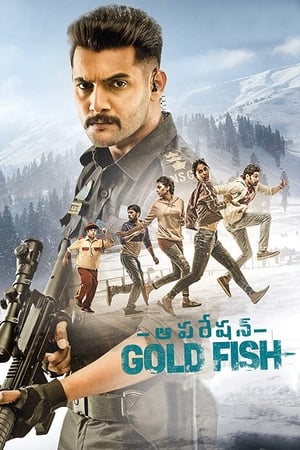 Operation Gold Fish 2019 (Hindi - Telugu) Dual Audio UnCut HDRip [1GB]