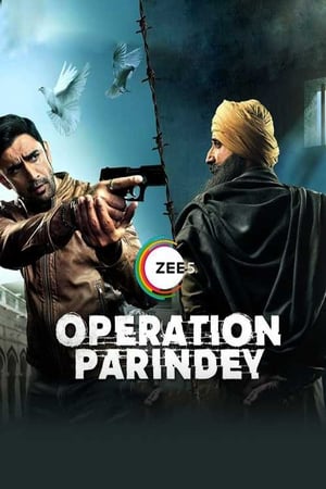 Operation Parindey 2020 Hindi Movie HDRip x264 [500MB]