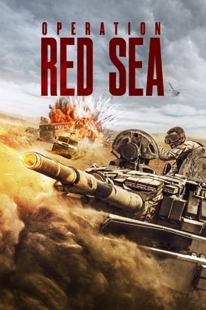 Operation Red Sea (2018) Hindi Dual Audio BluRay 450MB