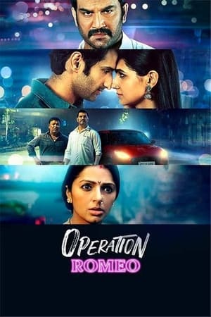 Operation Romeo (2022) Hindi Movie HDRip – 480p