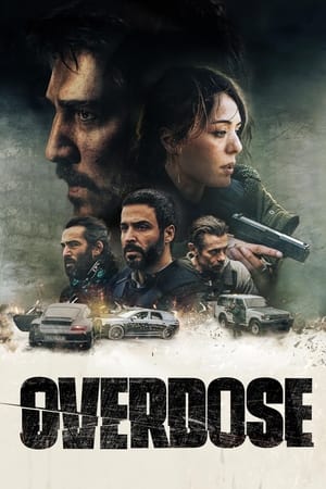 Overdose 2022 Hindi Dual Audio HDRip – 480p