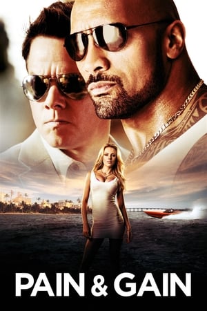Pain & Gain 2013 400MB Dual Audio Hindi Bluray Download