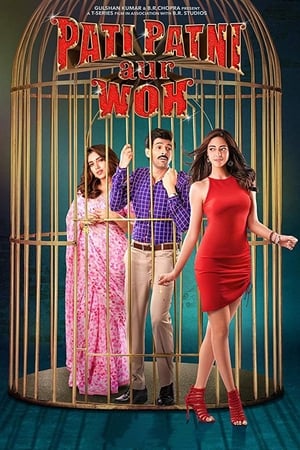 Pati Patni Aur Woh 2019 Hindi Movie HDRip x264 [1.2GB]