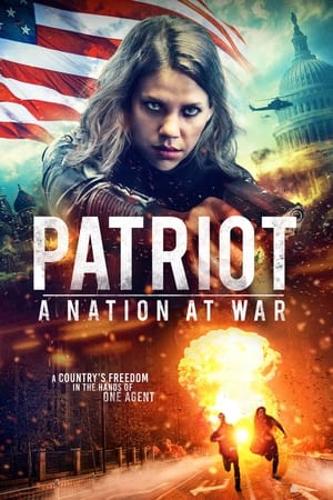 Patriot A Nation at War 2020 Hindi Dual Audio Web-DL [930MB]