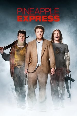 Pineapple Express (2008) Hindi Dual Audio BluRay 360MB