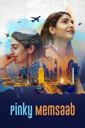 Pinky Memsaab 2018 Urdu Movie HDRip - [360MB]