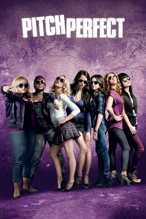 Pitch Perfect (2012) Hindi Dual Audio BluRay 370MB
