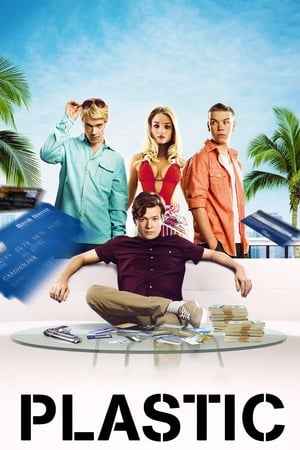 Plastic (2014) Hindi Dual Audio HDRip – 480p