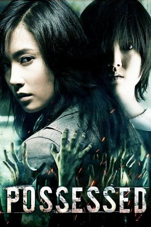 Possessed (2009) Hindi Dual Audio BluRay 300MB