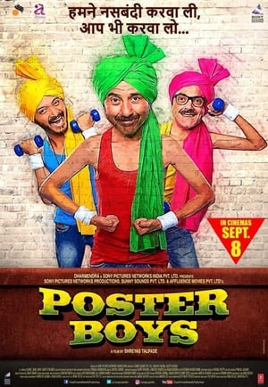 Poster Boys 2017 Movie HDRip Download - 1.1GB