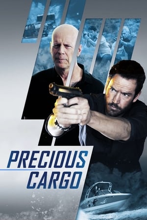 Precious Cargo (2016) Hindi Dual Audio BluRay 300MB