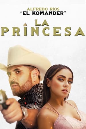 Prince 2022 Hindi (HQ Dubbed) Movie Pre-DVDRip – 480p