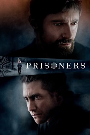 Prisoners 2013 Hindi Dual Audio BluRay 400MB ESubs