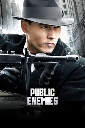Public Enemies (2009) Hindi Dual Audio Movie BluRay - 1.1GB