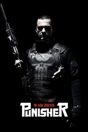 Punisher: War Zone (2008) Hindi Dual Audio BluRay [880MB]