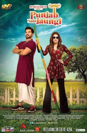 Punjab Nahi Jaungi (2017) Movie HDTVRip x264 [980MB]