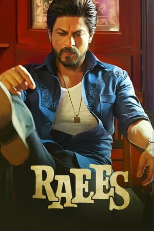 Raees (2017) Full Movie DVDRip [1.0GB] Download