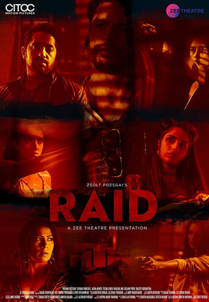 Raid 2019 Hindi Movie HDRip - [250MB]