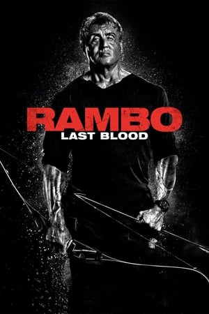 Rambo: Last Blood (2019) Hindi Dual Audio BluRay 300MB