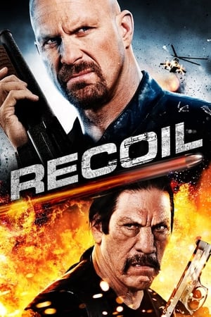 Recoil (2011) Hindi Dual Audio BluRay 300MB ESubs