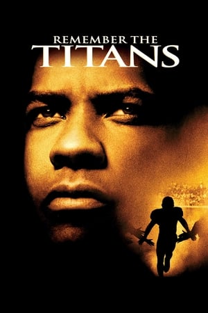 Remember the Titans (2000) Hindi Dual Audio BluRay [700MB]