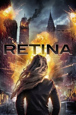 Retina 2017 Hindi Dual Audio WebRip 300MB