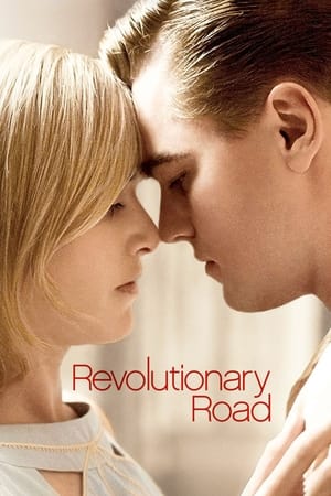 Revolutionary Road (2008) Hindi Dual Audio BluRay 380MB