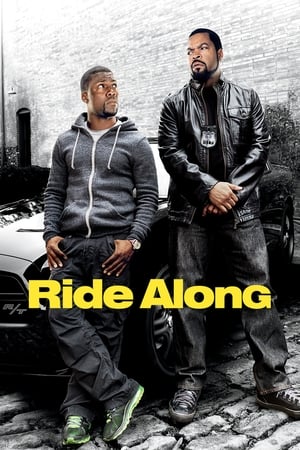 Ride Along (2014) Hindi Dual Audio BluRay [890MB]