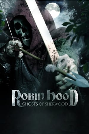 Robin Hood: Ghosts of Sherwood (2012) Hindi Dual Audio BluRay [1GB]