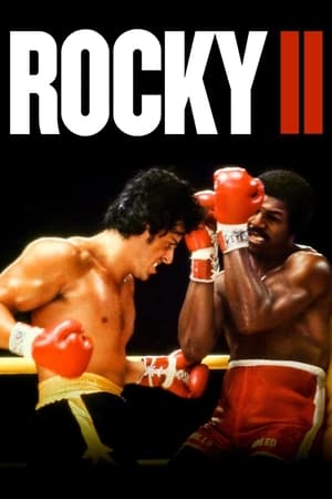 Rocky II (1979) Dual Audio Hindi Bluray 400MB