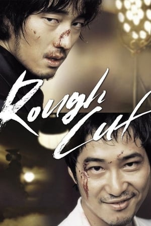 Rough Cut (2008) Hindi Dual Audio BluRay 400MB
