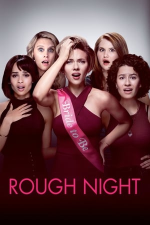 Rough Night (2017) Hindi Dual Audio BluRay [800MB]