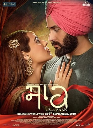 Saak 2019 Hindi Movie HDRip x264 [940MB]