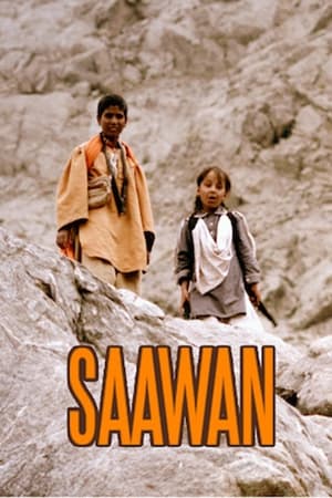 Saawan (2016) Urdu Movie HDRip - [360MB]