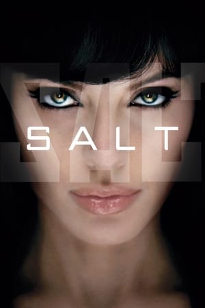 Salt (2010) Hindi Dual Audio BluRay 300MB