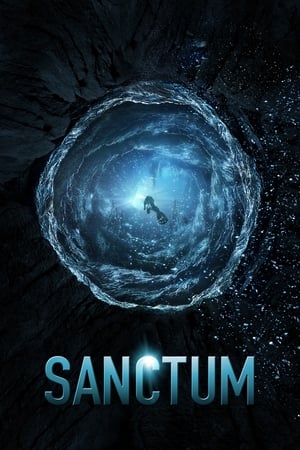 Sanctum (2011) Hindi Dual Audio BluRay 300MB