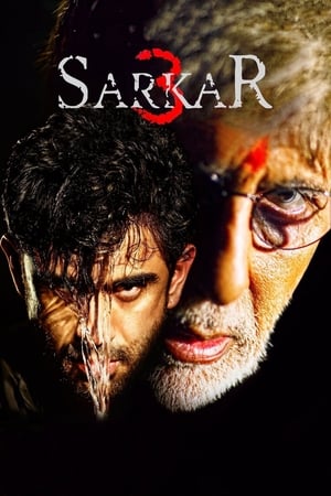 Sarkar 3 2017 Full Movie DVDRip [700MB] Download