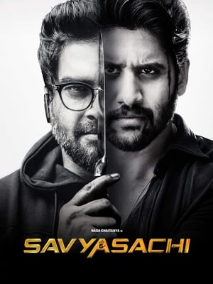 Savyasachi (2018) Hindi Dual Audio UnCut HDRip 450MB