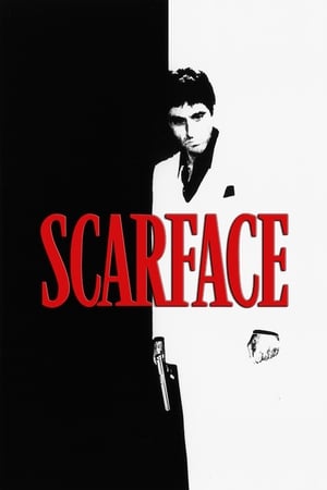 Scarface (1983) Dual Audio Hindi BluRay 500MB
