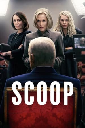 Scoop 2024 Hindi Dual Audio HDRip – 720p – 480p