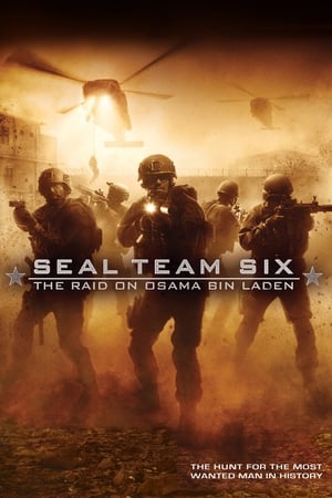 Seal Team Six: The Raid on Osama Bin Laden (2012) Hindi Dual Audio Full Movie BluRay - 1.3GB