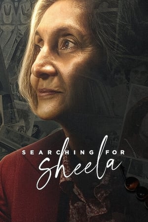 Searching for Sheela 2021 Hindi Movie HDRip x264 [540MB]