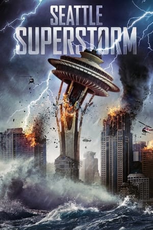 Seattle Superstorm (2012) Hindi Dual Audio BluRay [1.2GB]