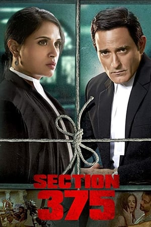 Section 375 (2019) Hindi Movie HDRip x264 [980MB]
